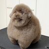 fluffyfatduck